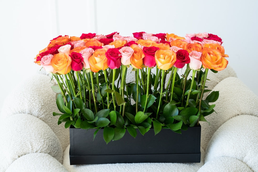 Rosas surtidas