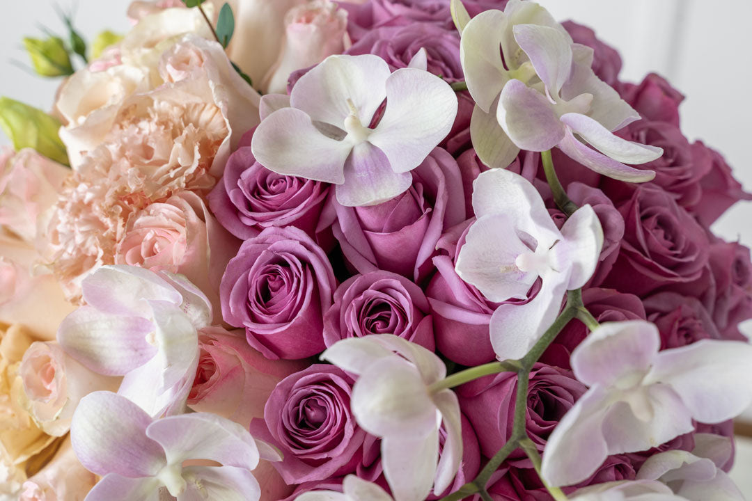Flores exóticas