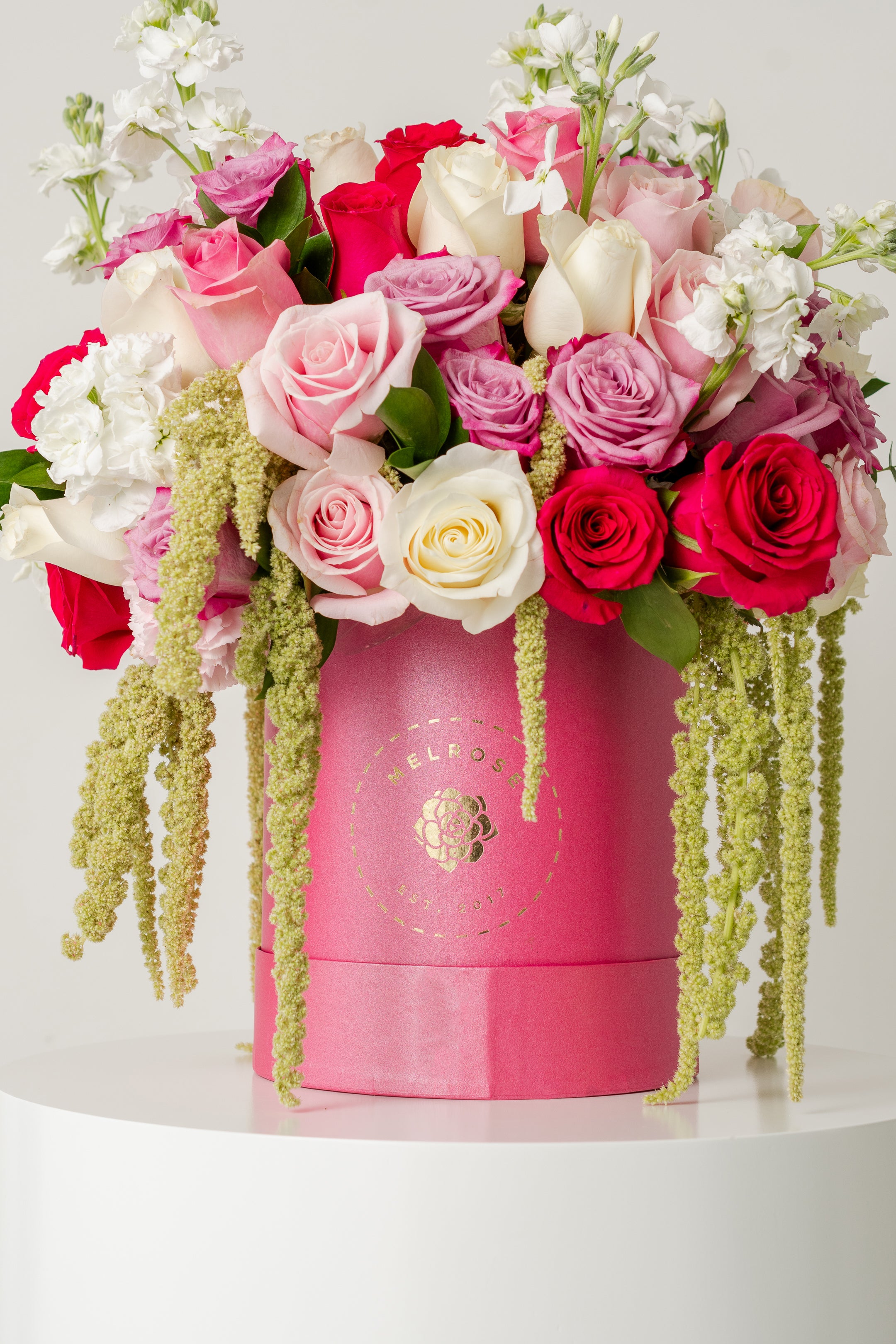 Rosas Karen