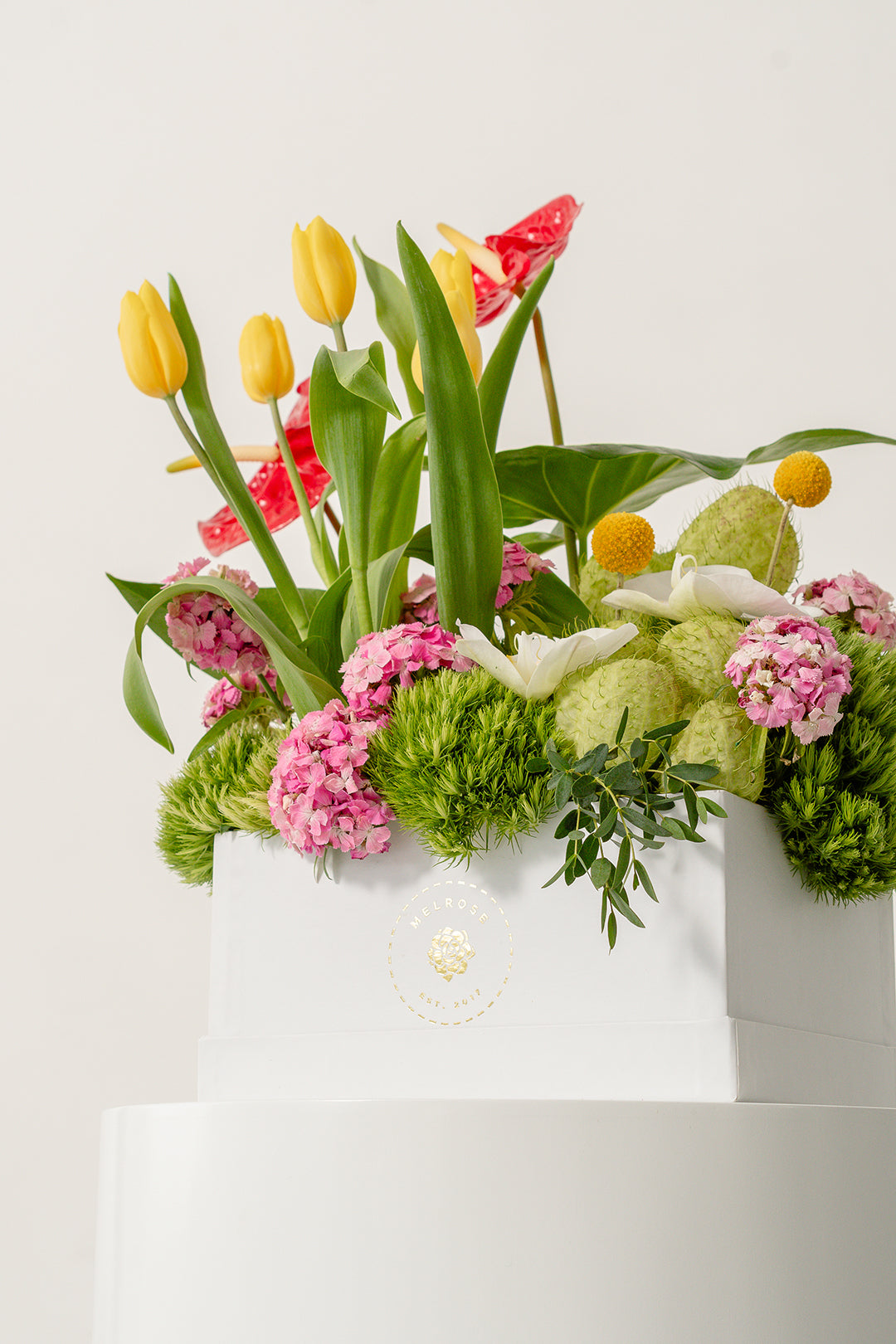 Tulipanes para Mamá Sunny