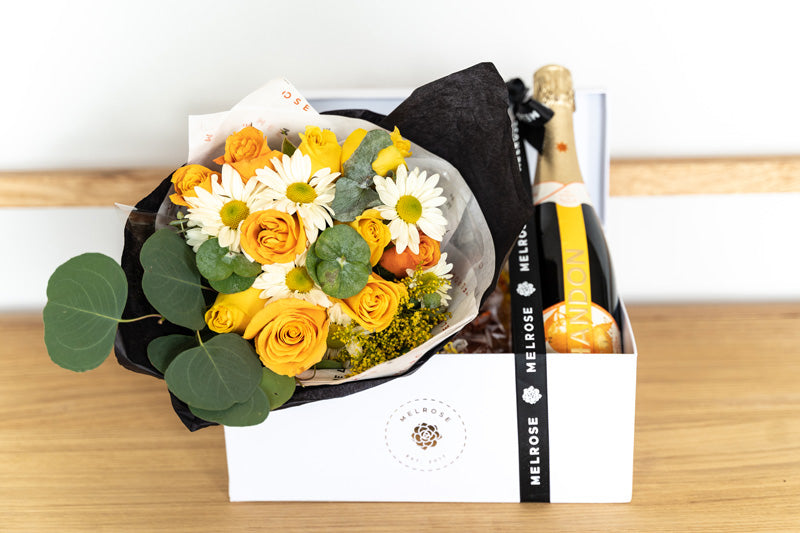 Regalo para hombre II
