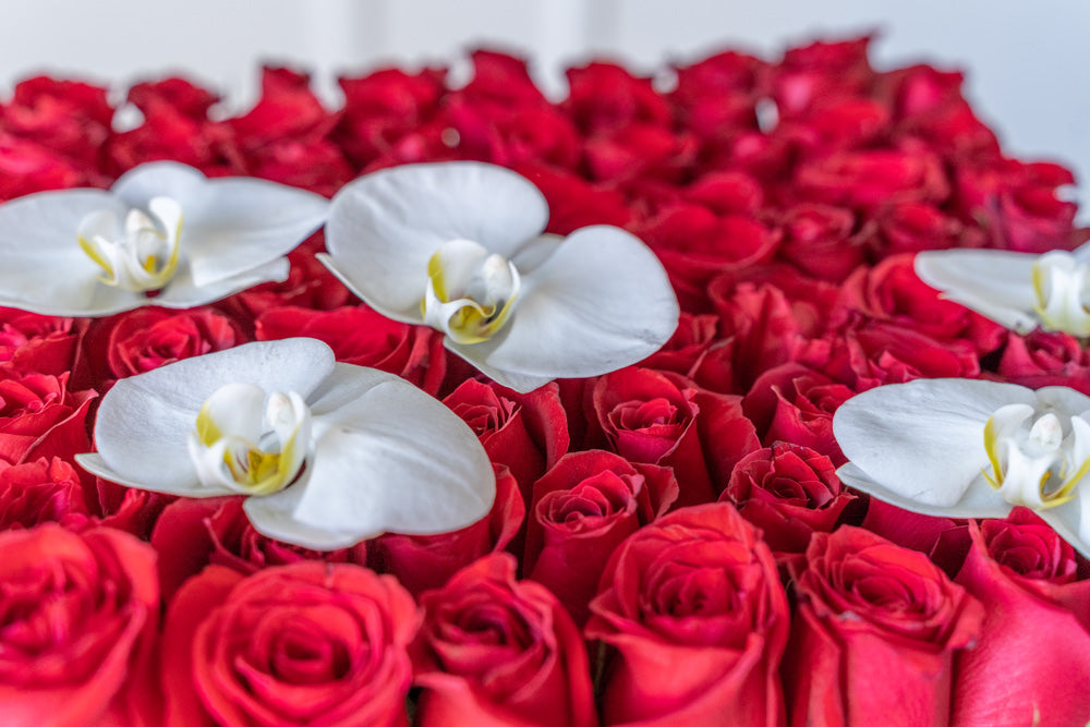 Rosas rojas en caja con flores de orquídea