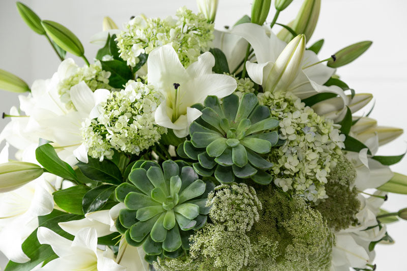 white lilies