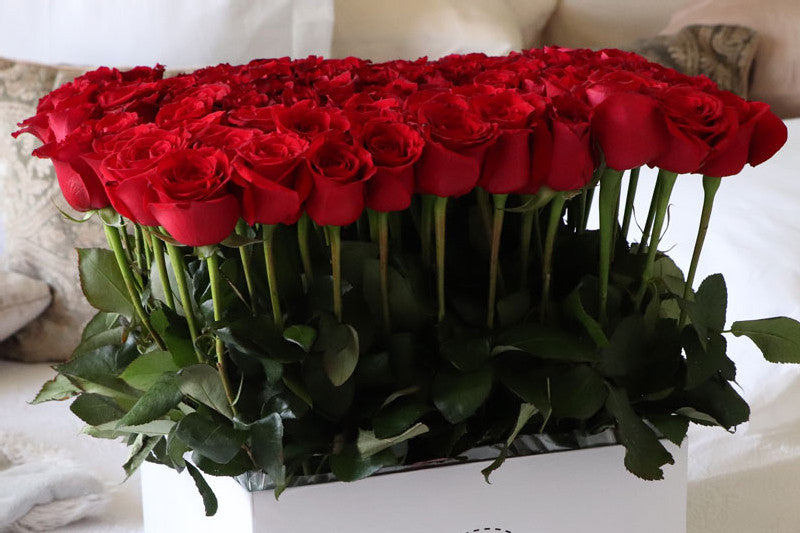 Rosas Rojas Amor