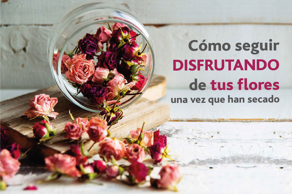 Cómo seguir disfrutando de tus flores, una vez que han secado