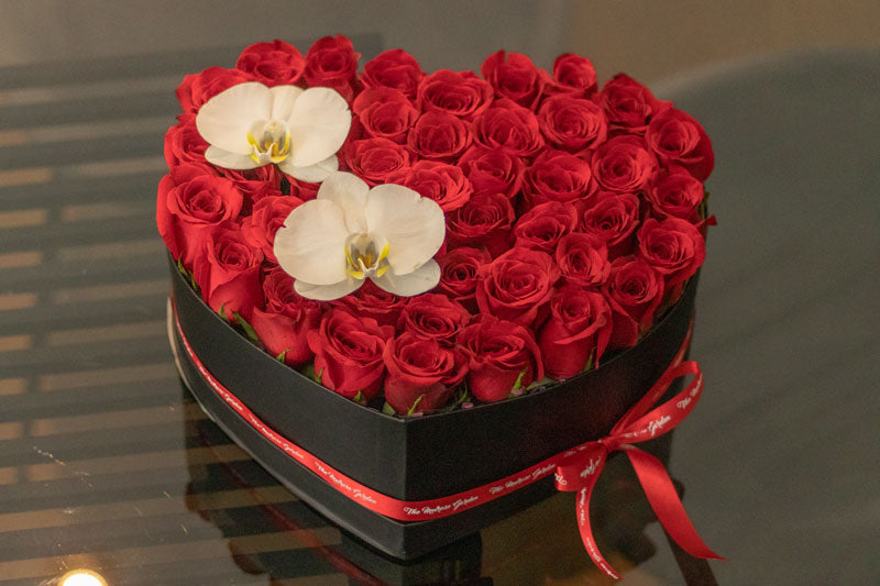 Red roses, symbol of lovers, emblem of Valentine's Day