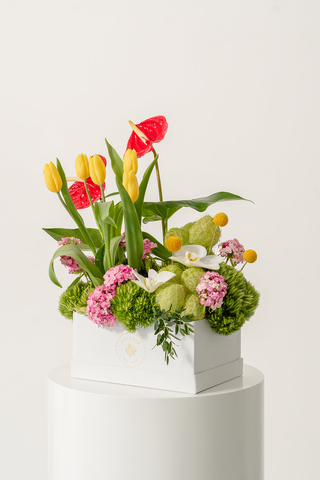 Tulipanes para Mamá Sunny