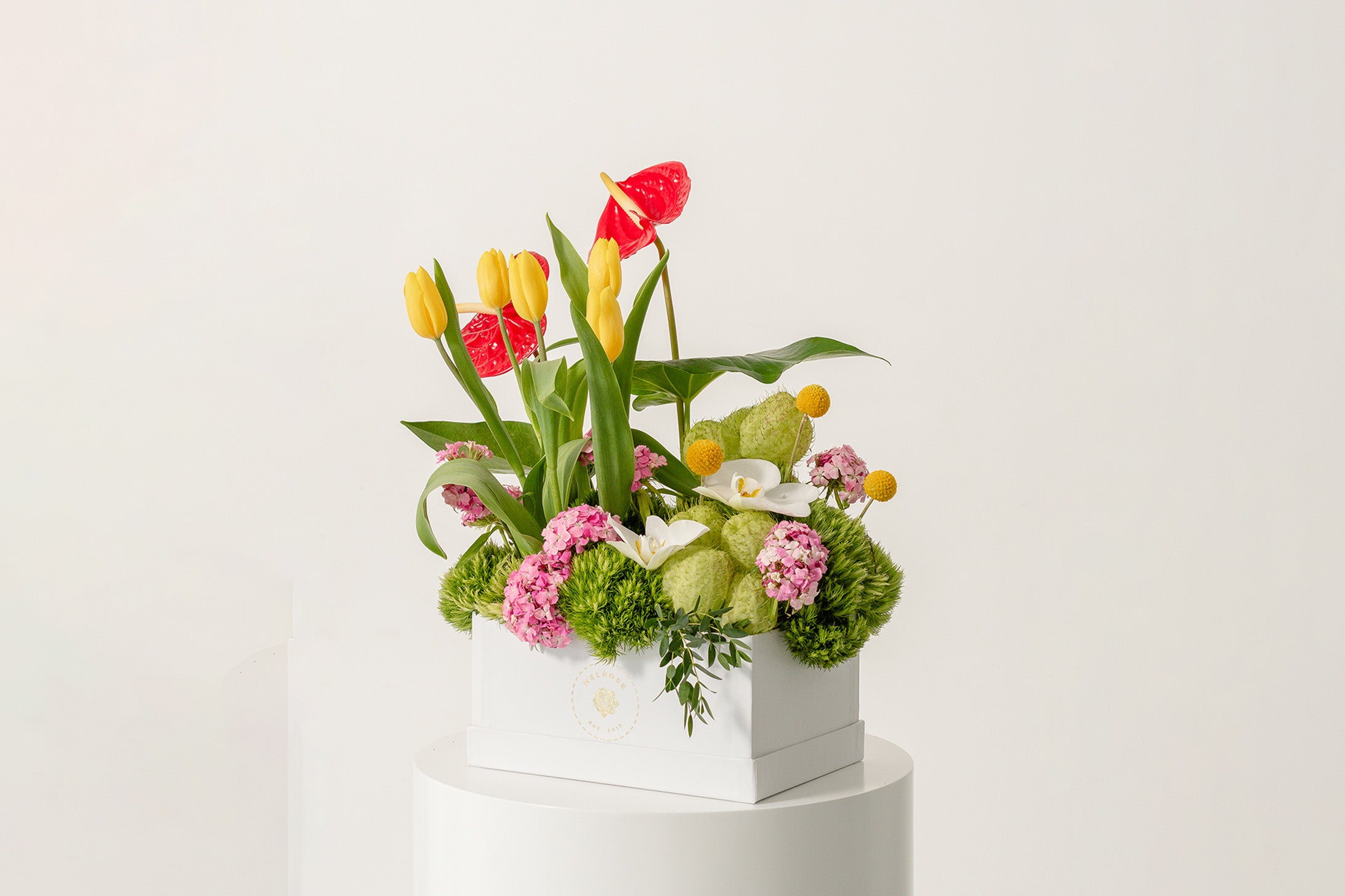 Tulipanes para Mamá Sunny