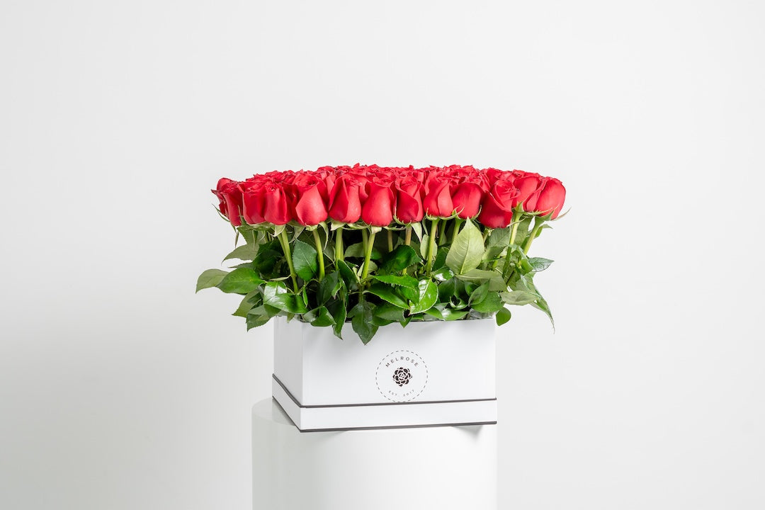 100 Rosas Rojas Premium