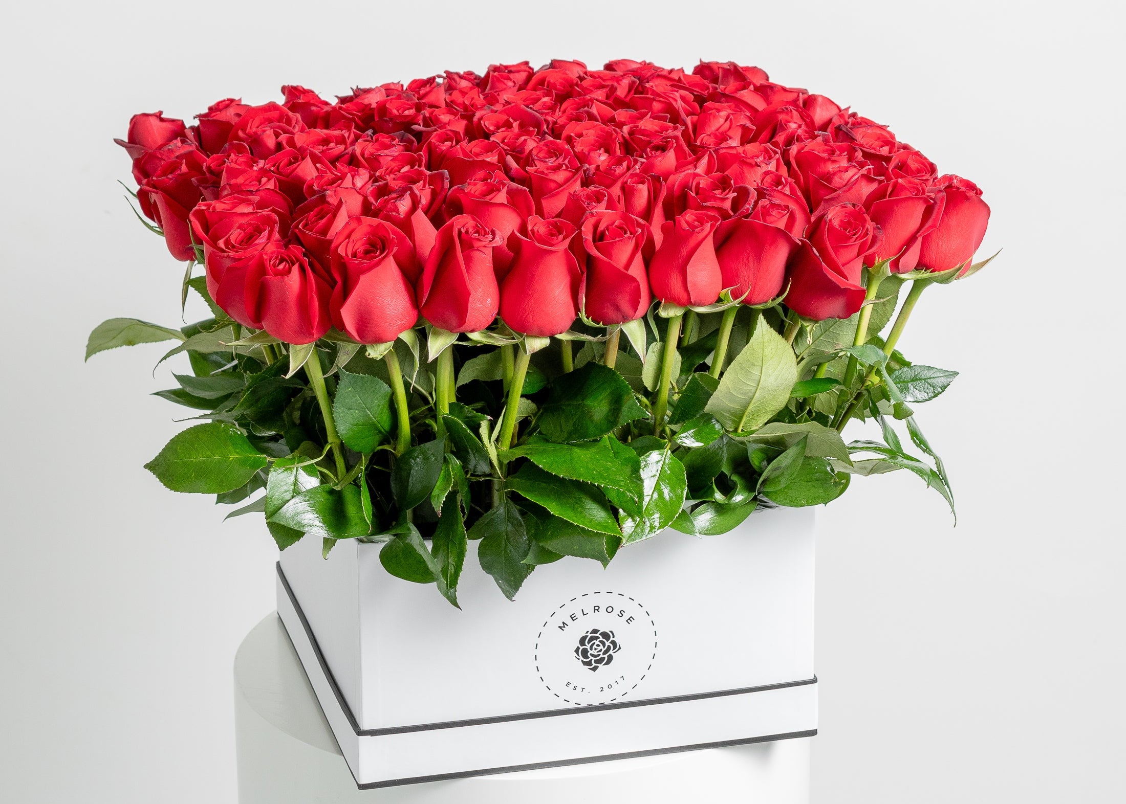 100 Rosas Rojas Premium