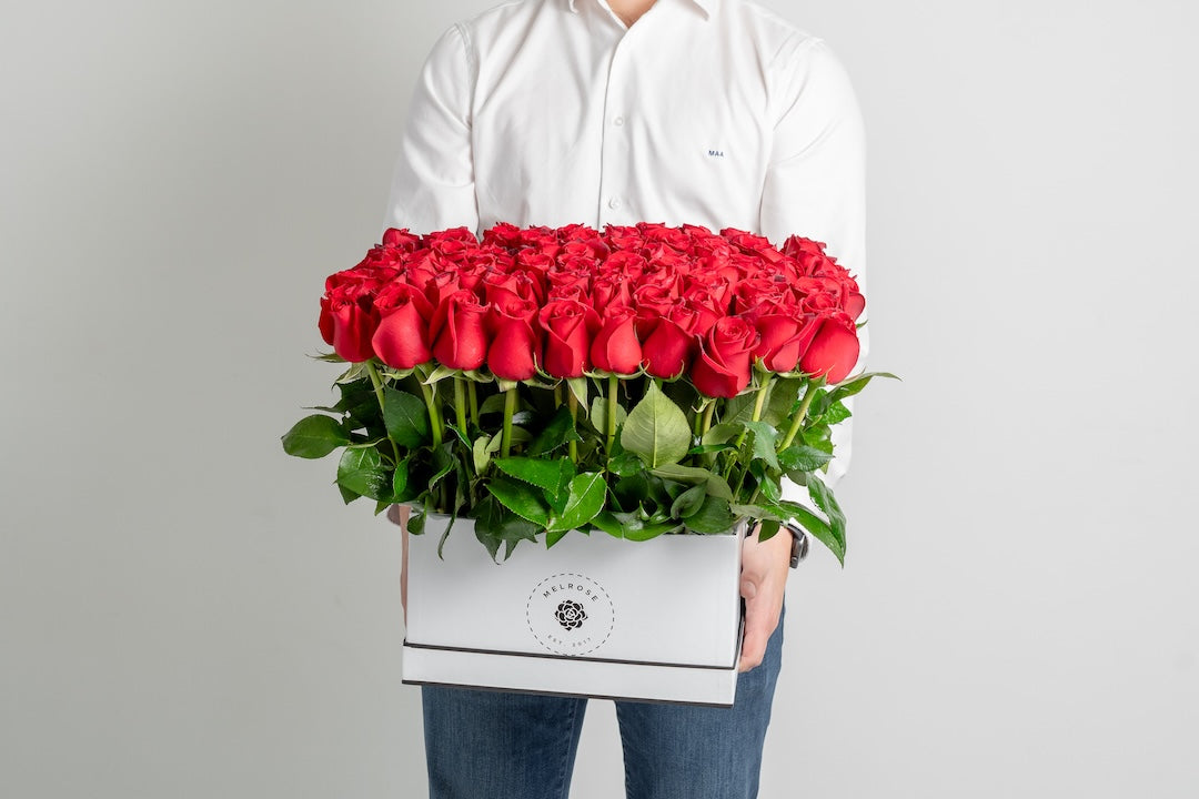 100 Rosas Rojas Premium