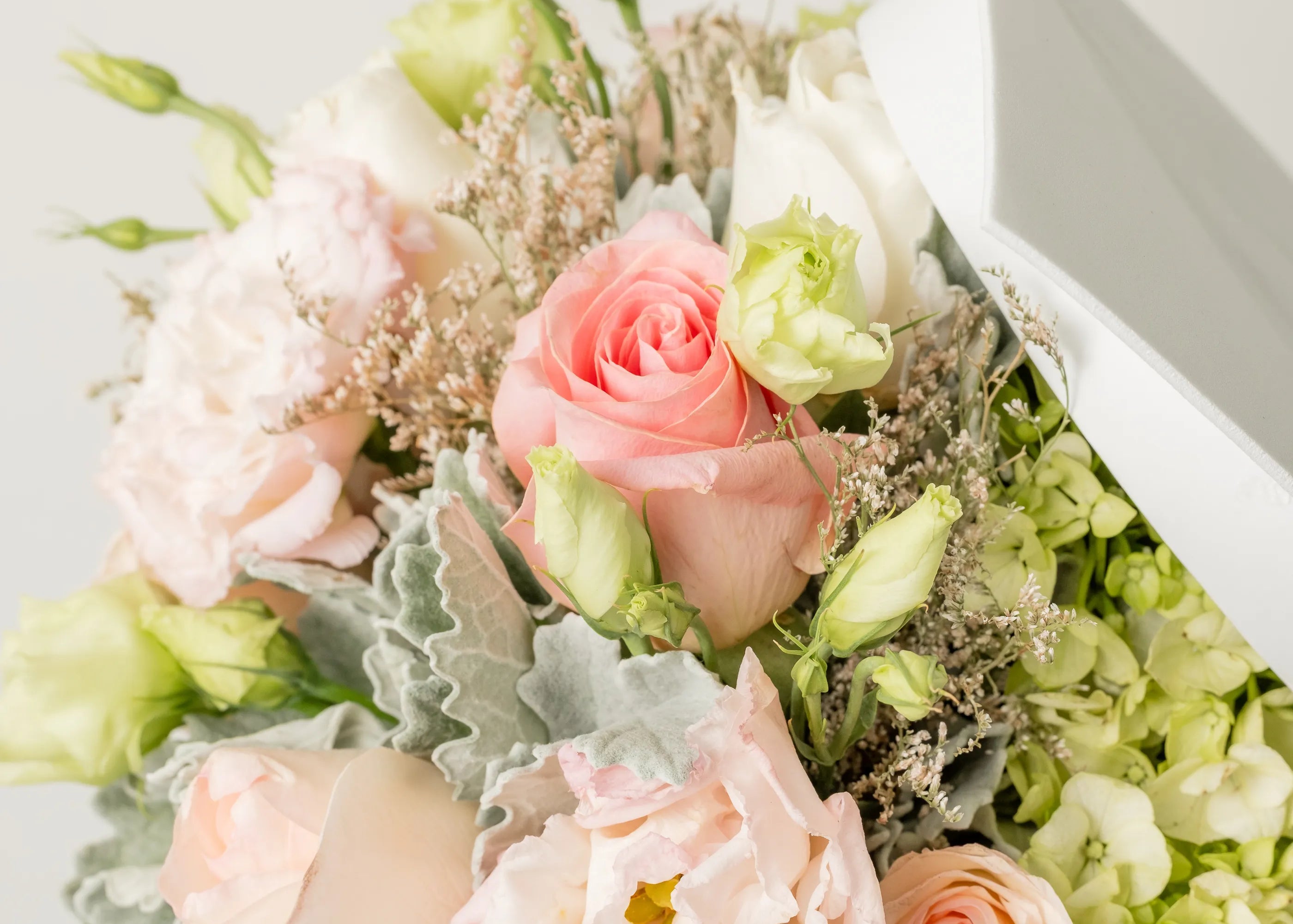 Graduation Roses
