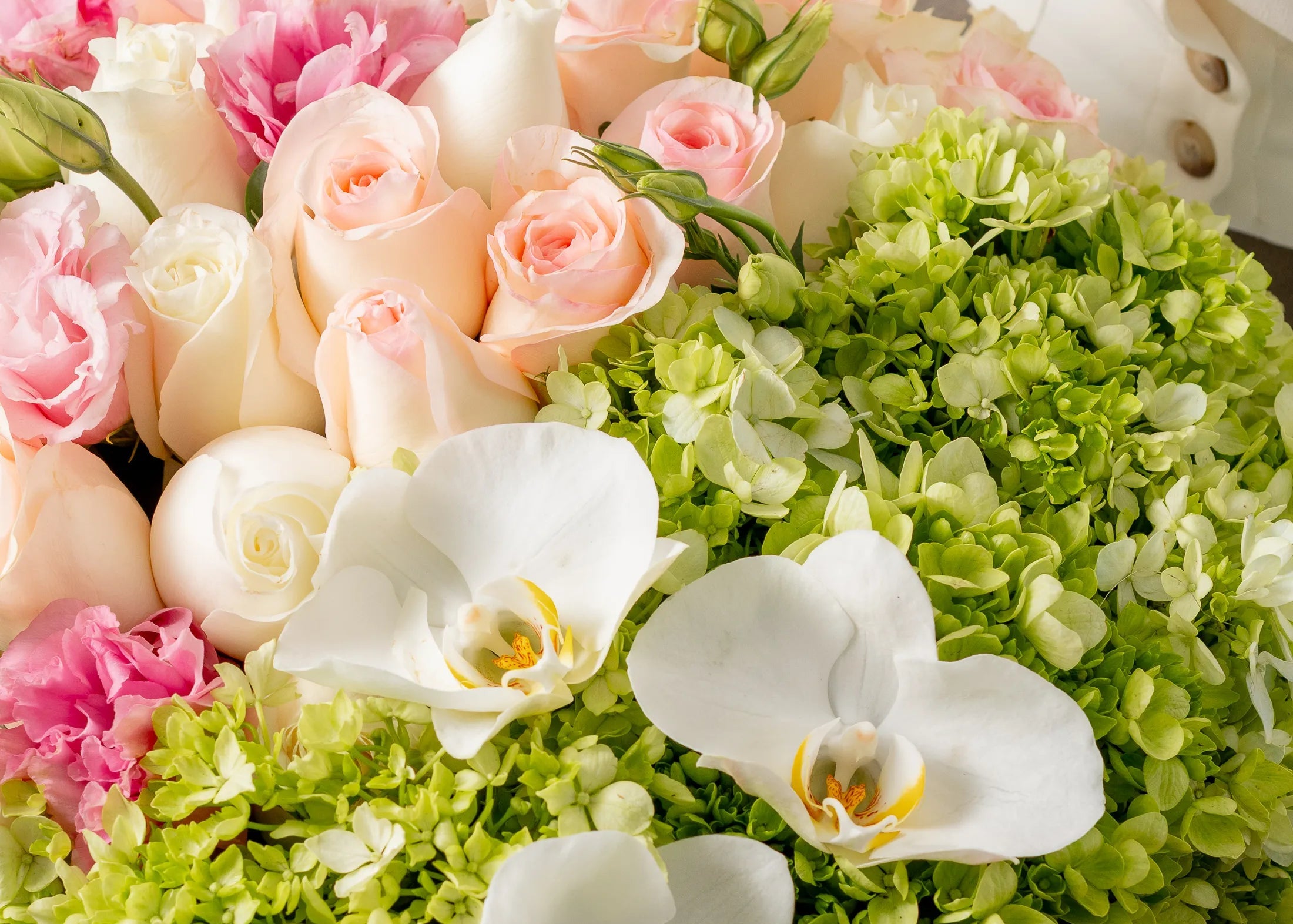 Rosas y Orquídeas