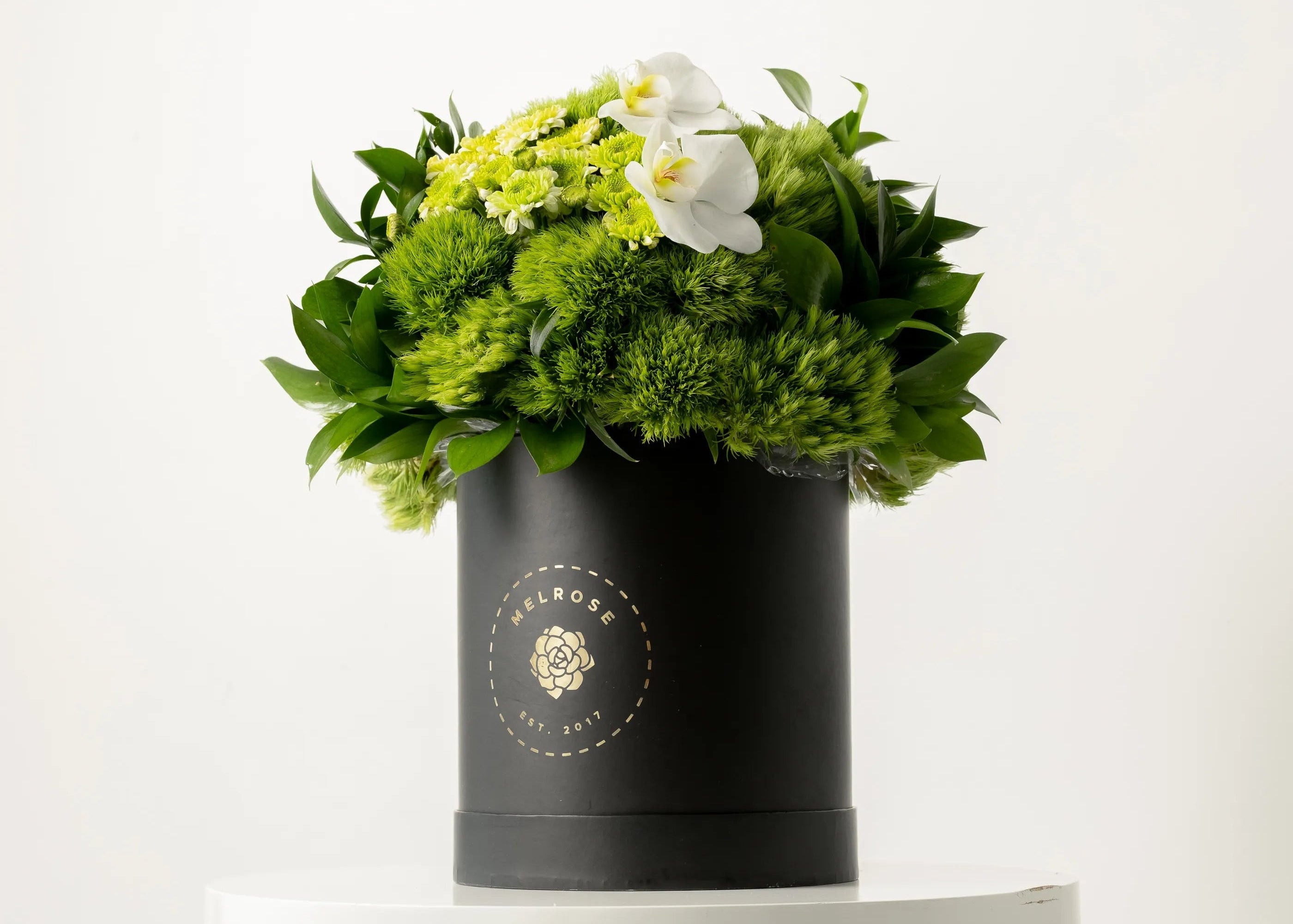 Graduación con Orquídea
