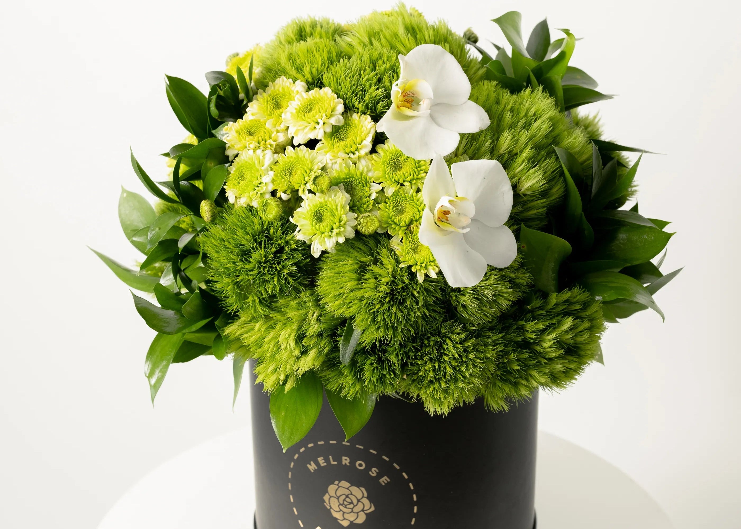 Graduación con Orquídea