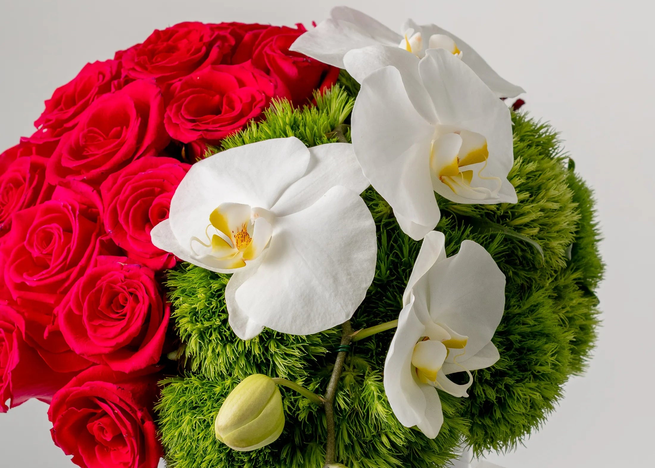 caja rosas rojas orquidea elegante