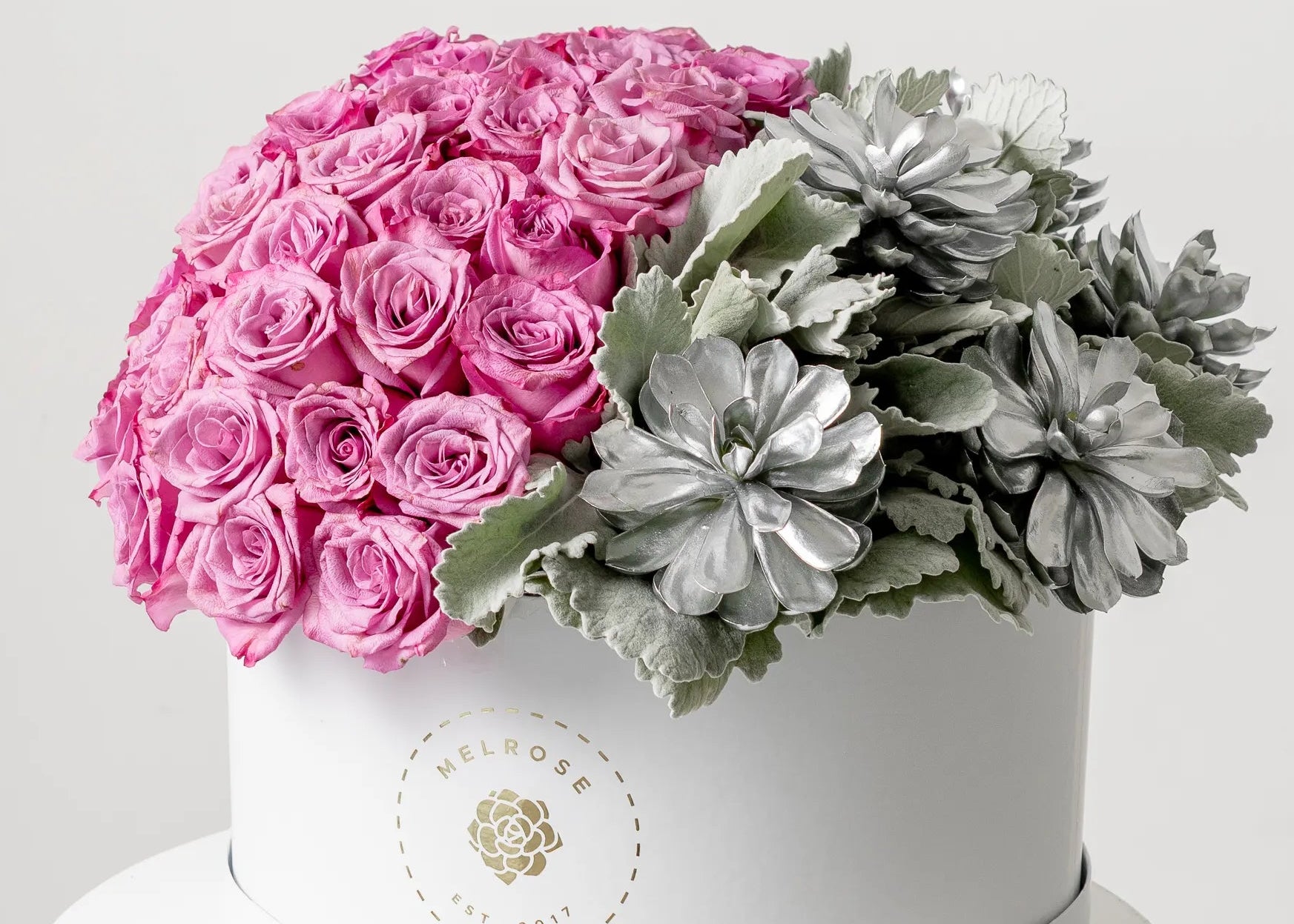 80 Rosas Lilas