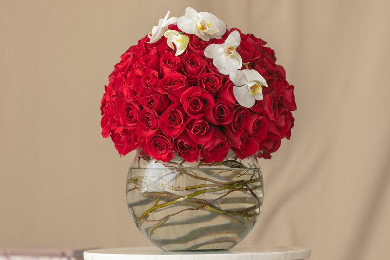 Aniversario 100 rosas rojas