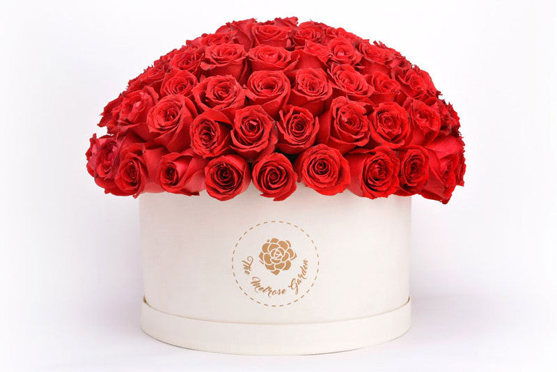 Elegant Red Roses